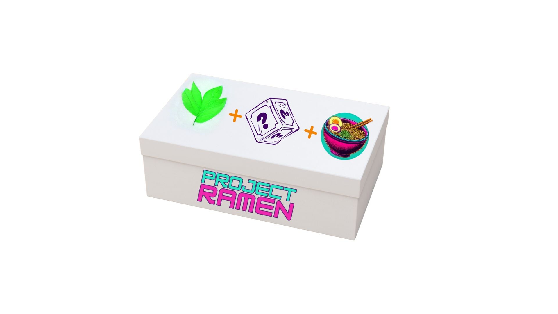 Vegetarian Ramen variety box bundle gift box, Project Ramen, instant ramen gift box, vegetarian gift box, birthday holiday celebration gift